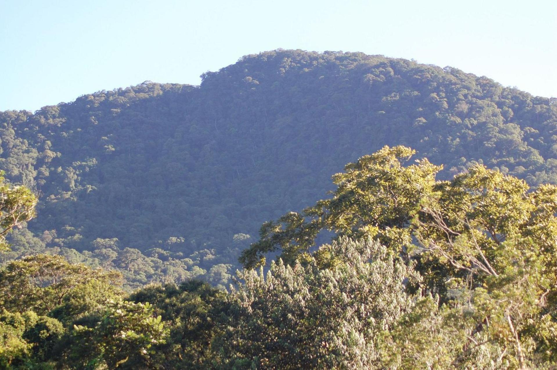 Pousada Toca Da Anita Maresias Sao Sebastiao  Esterno foto